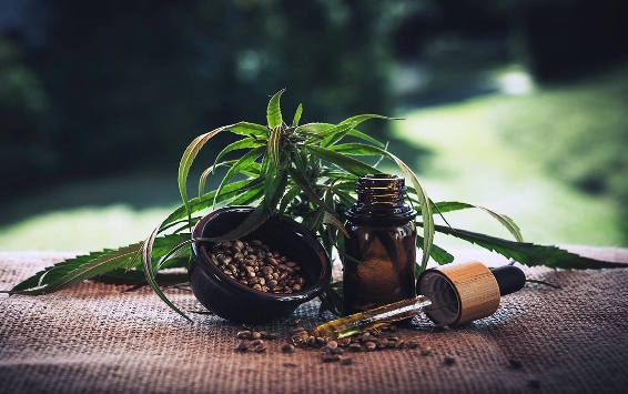 WhatsApp_Image_2023-09-07_at_09.55.38__2_