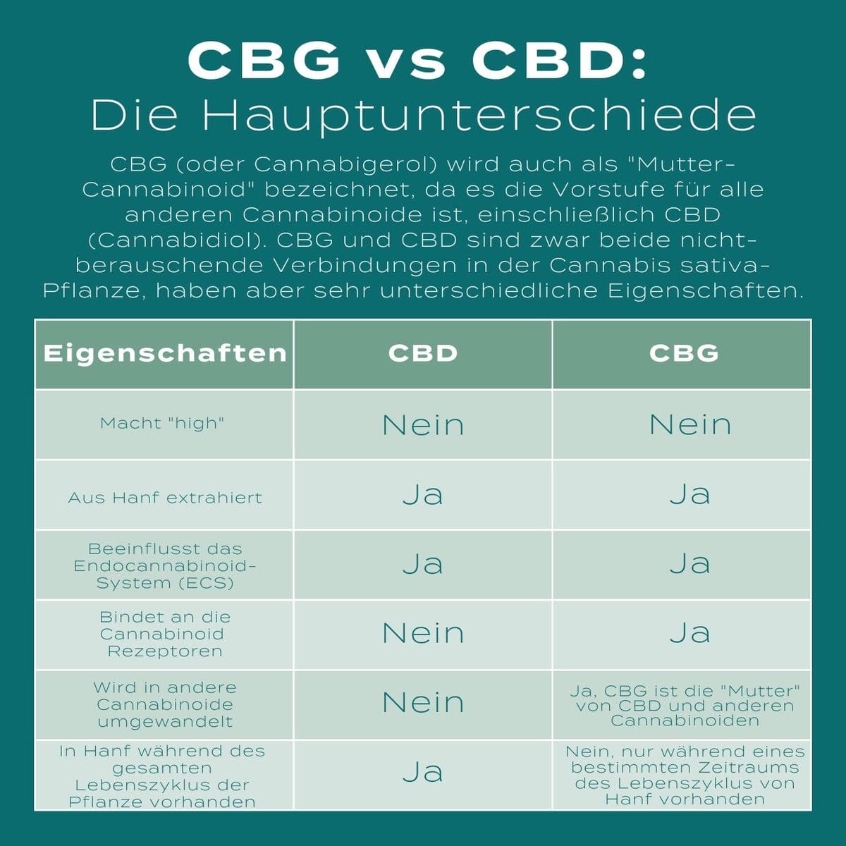 WhatsApp_Image_2023-09-08_at_12.21.21